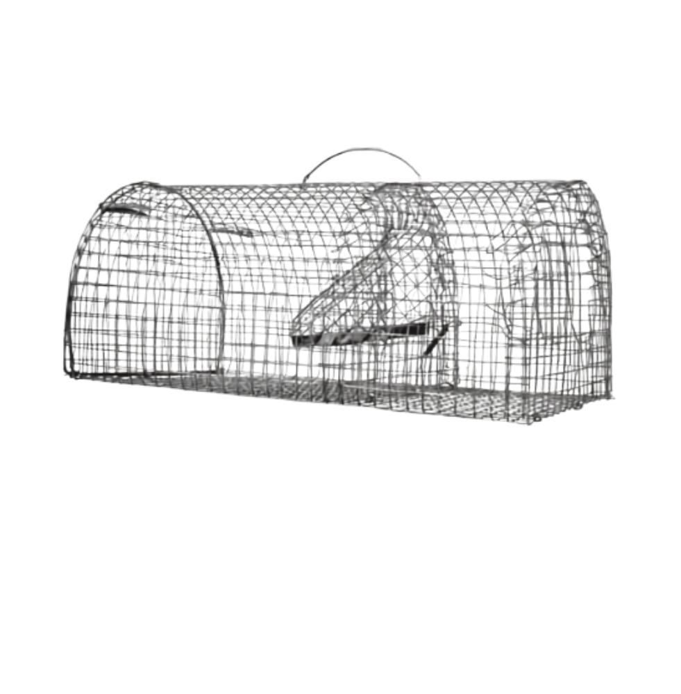 Nasse piège à rats demi-ronde – Sans poison