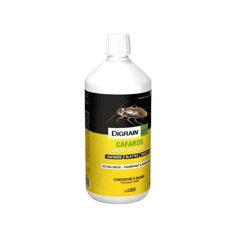 Insecticide à diluer sols et surfaces – 1 L