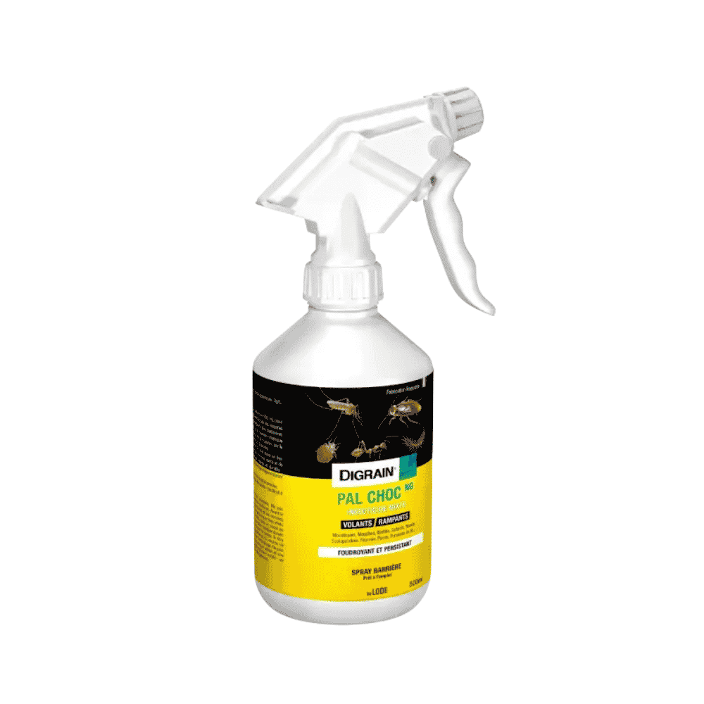 Insecticide spray laque large spectre 500ml