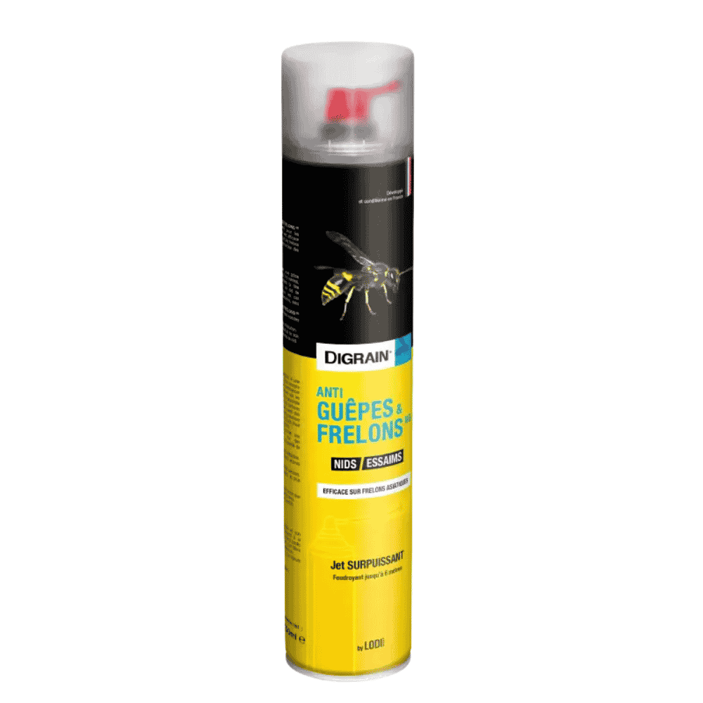 Insecticide nid de frelons guêpes et bourdons – Action rapide